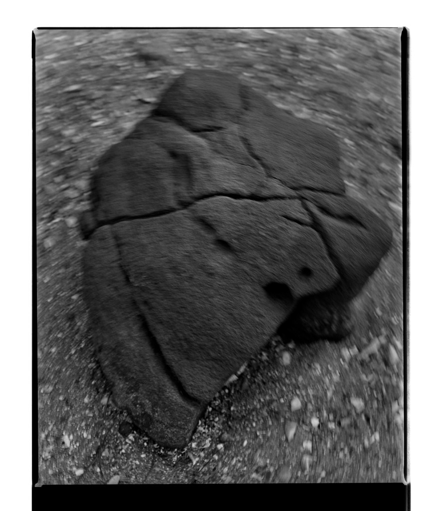 Marcus Bunyan (Australian, b. 1958) 'A twist of the mind' 1995