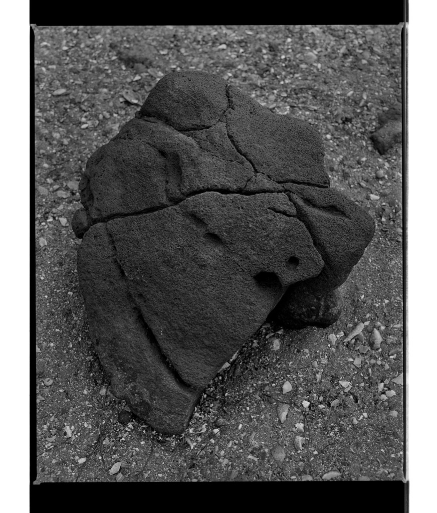 Marcus Bunyan (Australian, b. 1958) 'A twist of the mind' 1995