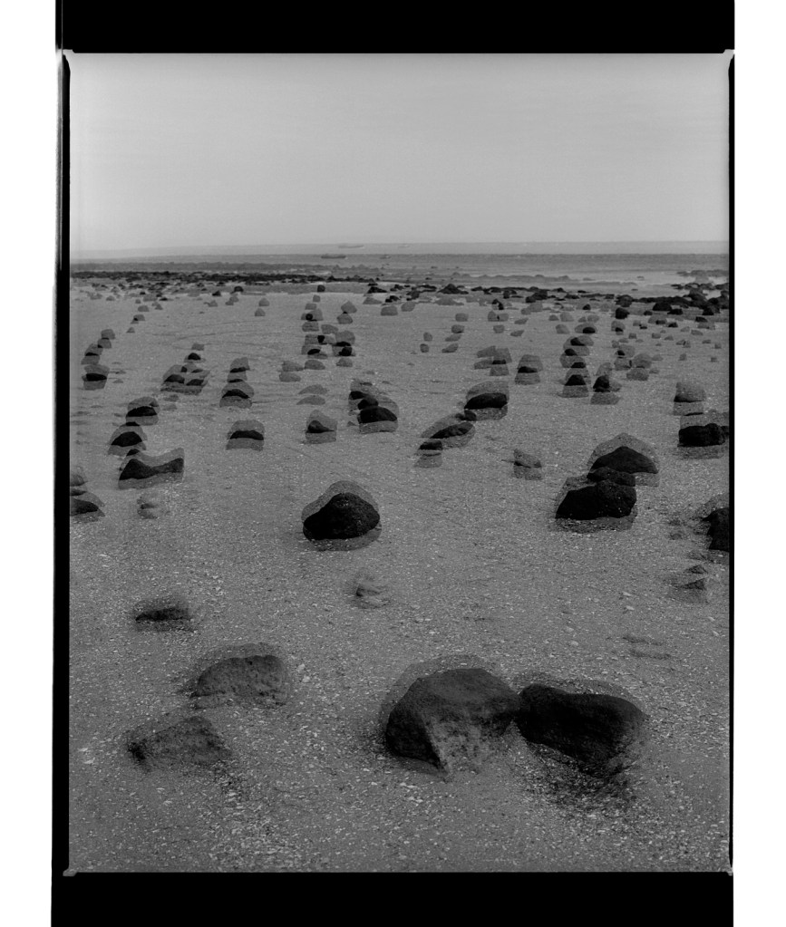 Marcus Bunyan (Australian, b. 1958) 'Australian landscape' 1995