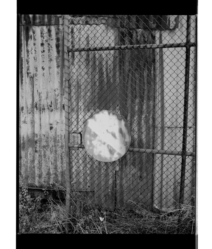 Marcus Bunyan (Australian, b. 1958) 'Roundel IIII' 1996