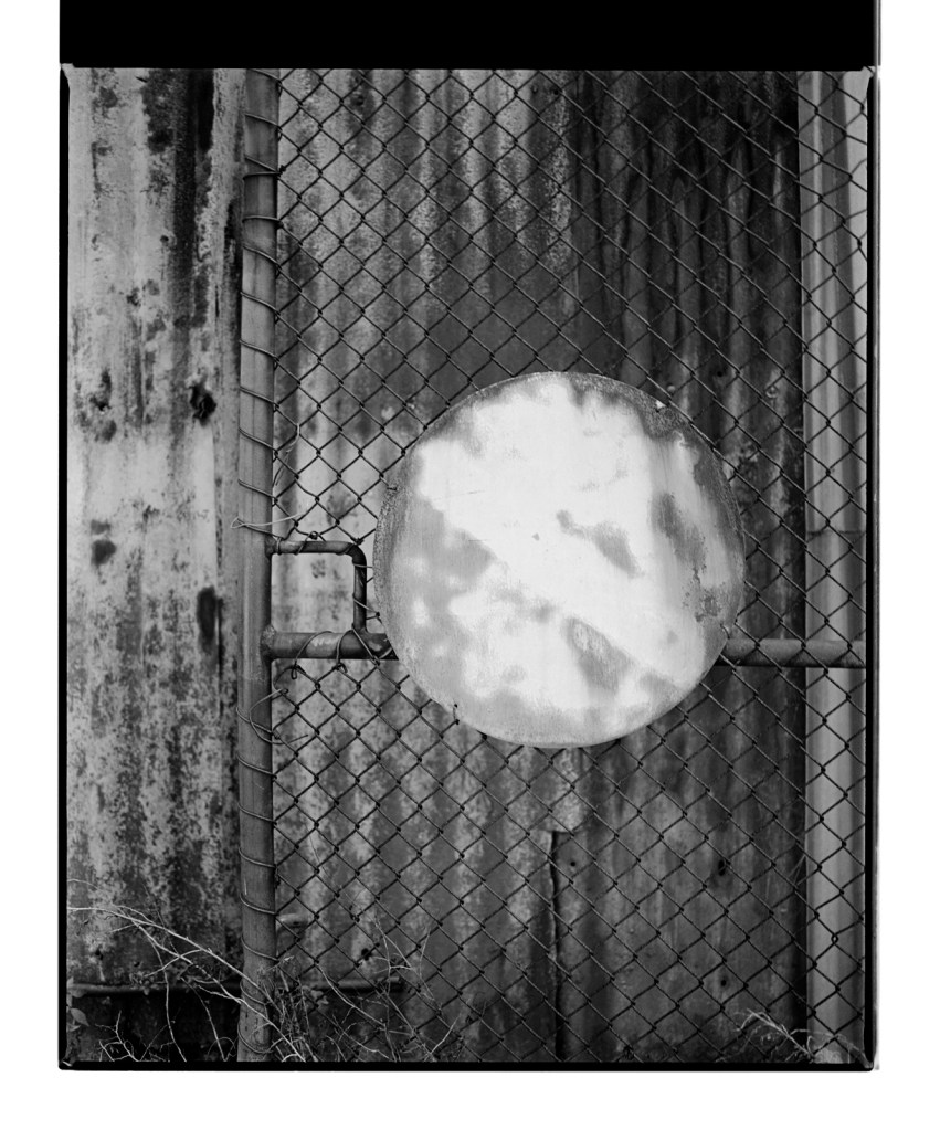 Marcus Bunyan (Australian, b. 1958) 'Roundel I' 1996