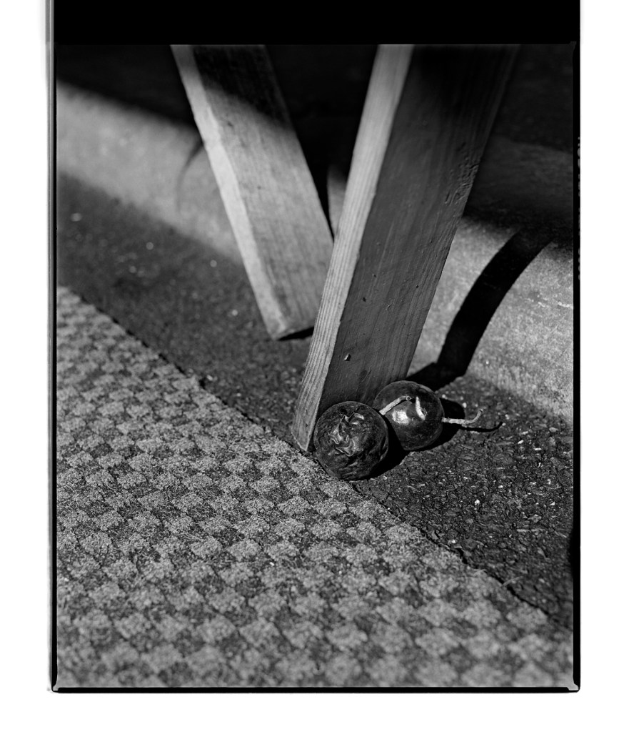 Marcus Bunyan (Australian, b. 1958) 'Passionfruit²' 1995