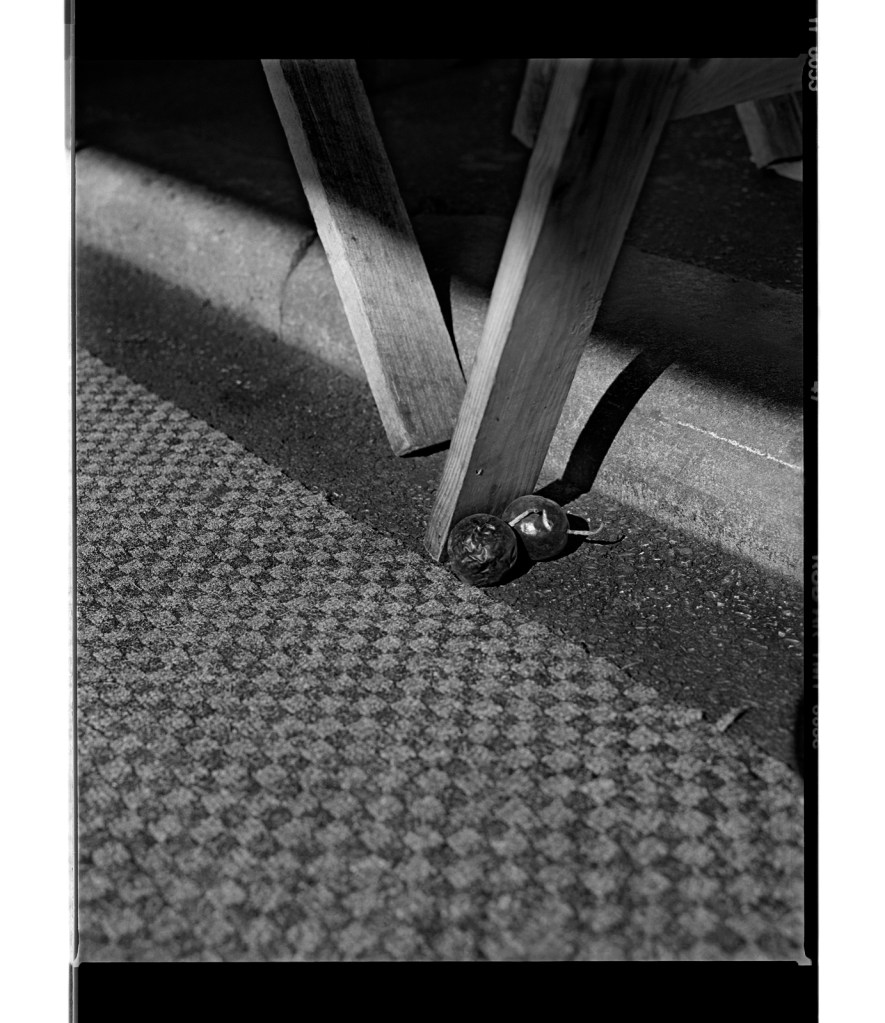 Marcus Bunyan (Australian, b. 1958) 'Passionfruit²' 1995