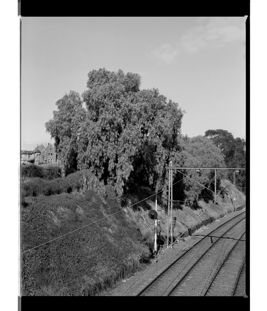 Marcus Bunyan. 'Between the breath and the silence' 1995