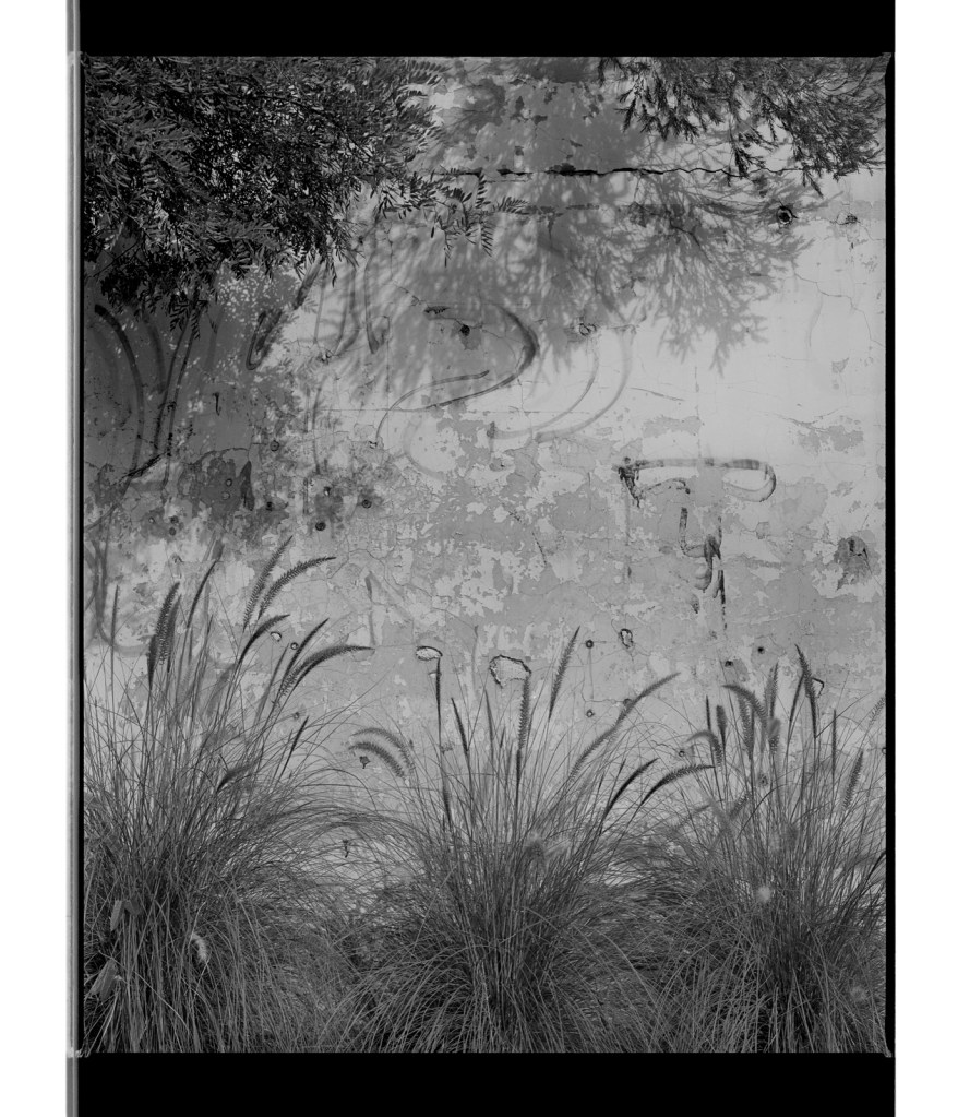 Marcus Bunyan (Australian, b. 1958) 'Untitled' 1995