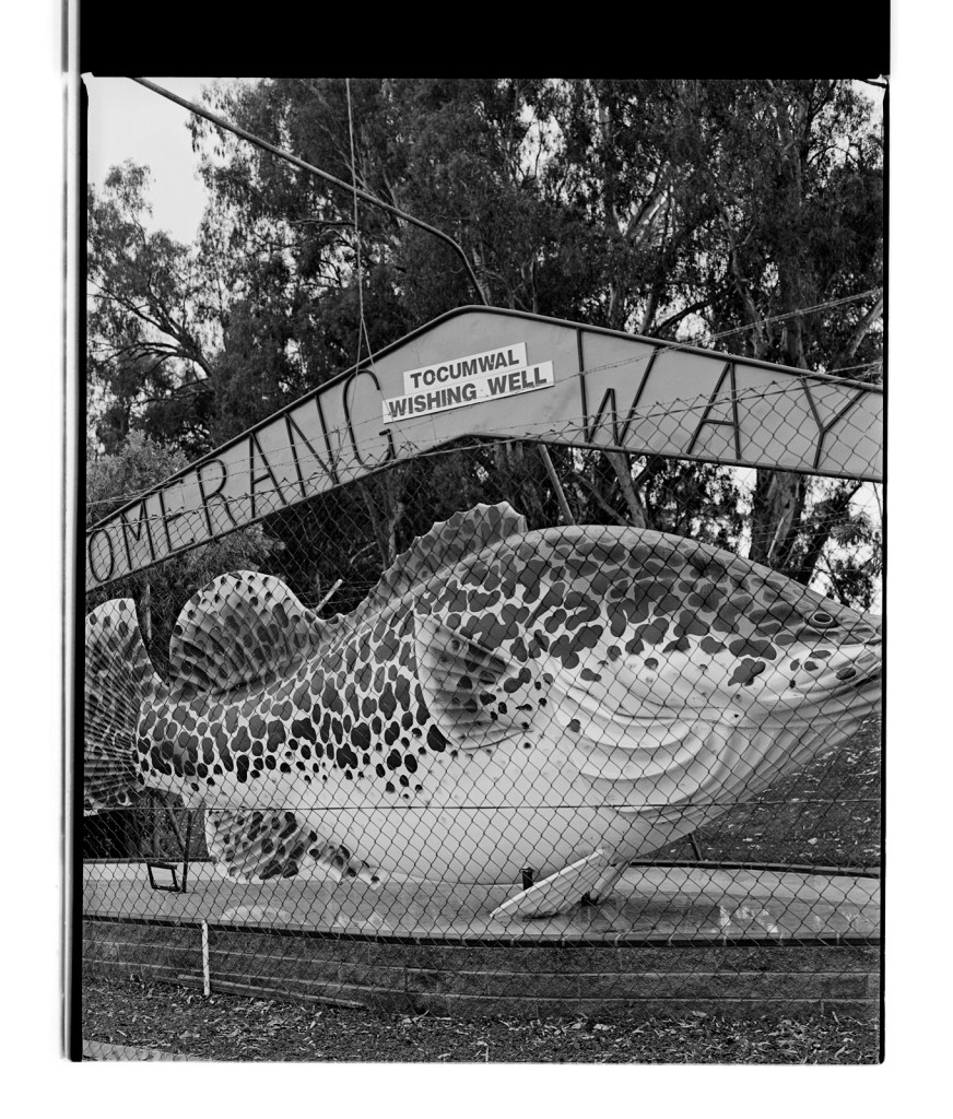 Marcus Bunyan (Australian, b. 1958) '"Boomerang Way" Tocumwal Wishing Well' 1995