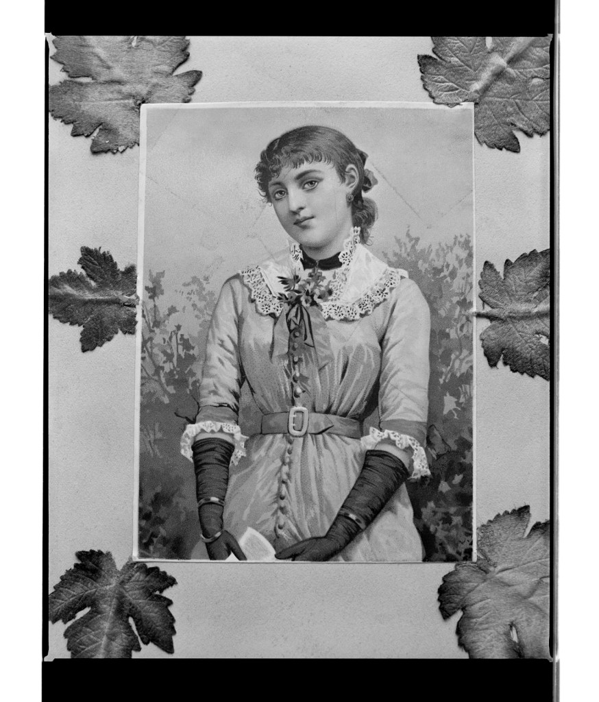 Marcus Bunyan. 'Untitled (Sweet heart with leaves)' 1996