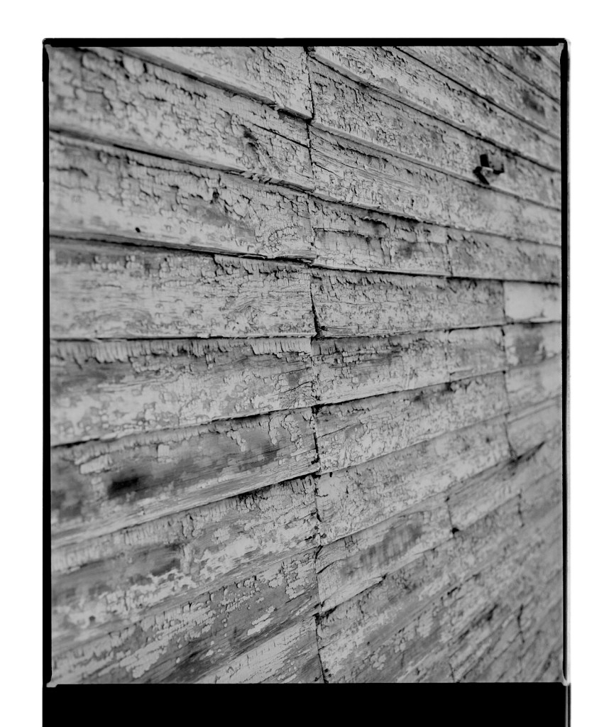 Marcus Bunyan (Australian, b. 1958) 'Untitled (plank)' 1995