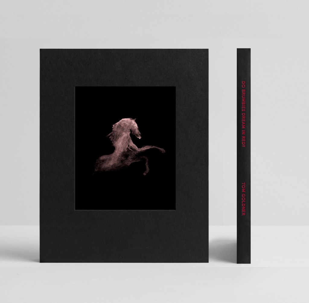 'Do Brumbies Dream in Red? – Photo Book'