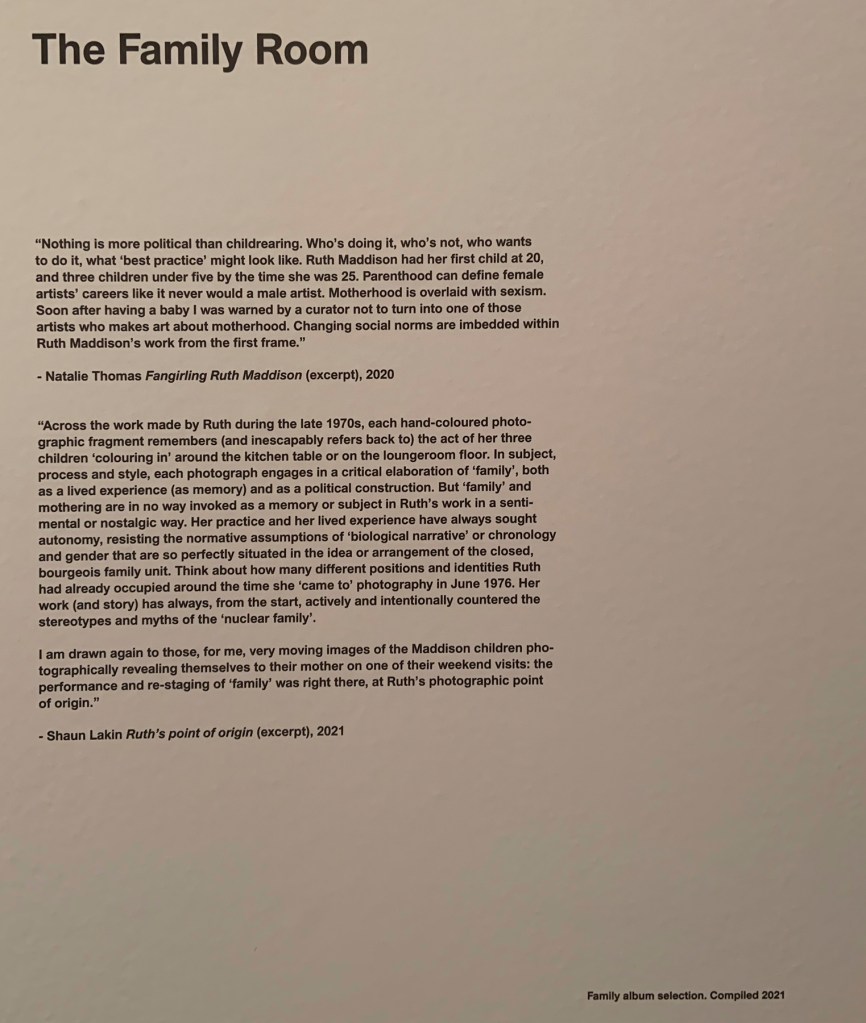 Text from the exhibition 'Ruth Maddison It was the best of times, it was the worst of times' at the Centre for Contemporary Photography, Melbourne