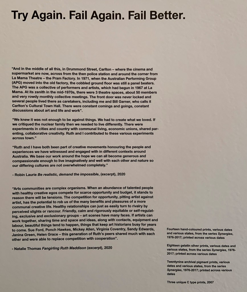Text from the exhibition 'Ruth Maddison It was the best of times, it was the worst of times' at the Centre for Contemporary Photography, Melbourne