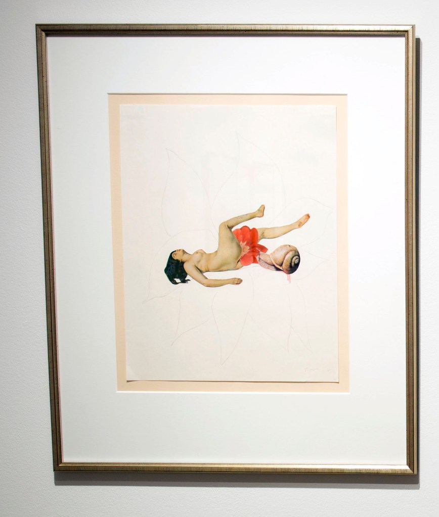 Joanne Leonard (American, b. 1940) 'Untitled (woman/flower/snail)' From 'Journal of a Miscarriage' 1973 (installation view)