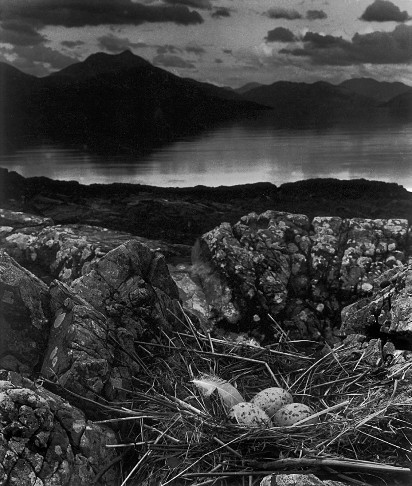 Bill Brandt (British, born Germany 1904-1983) 'Gull's nest, midsummer evening, Skye' 1947