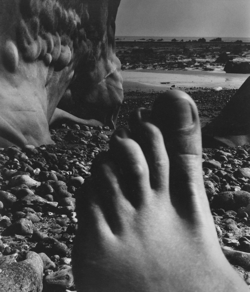 Bill Brandt (British born Germany, 1904-1983) 'Nude, Vasterival, Normandy' 1954