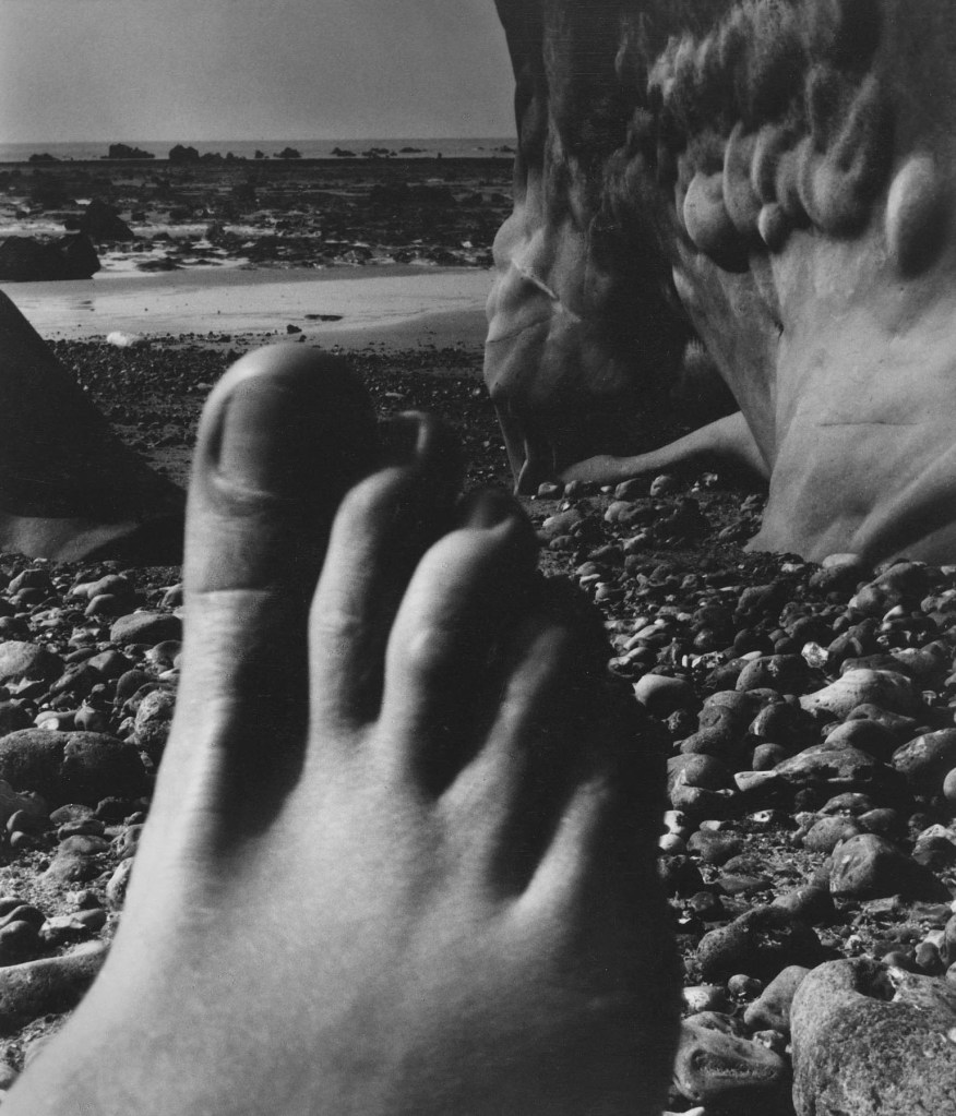 Bill Brandt (British born Germany, 1904-1983) 'Nude, Vasterival, Normandy' 1954