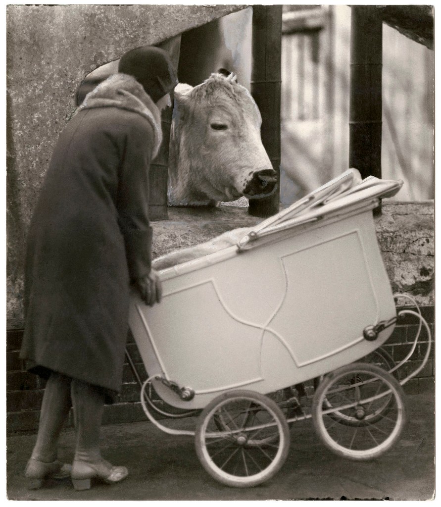 Friedrich Seidenstücker (German, 1882-1966) 'Encounters in the zoo' 1926