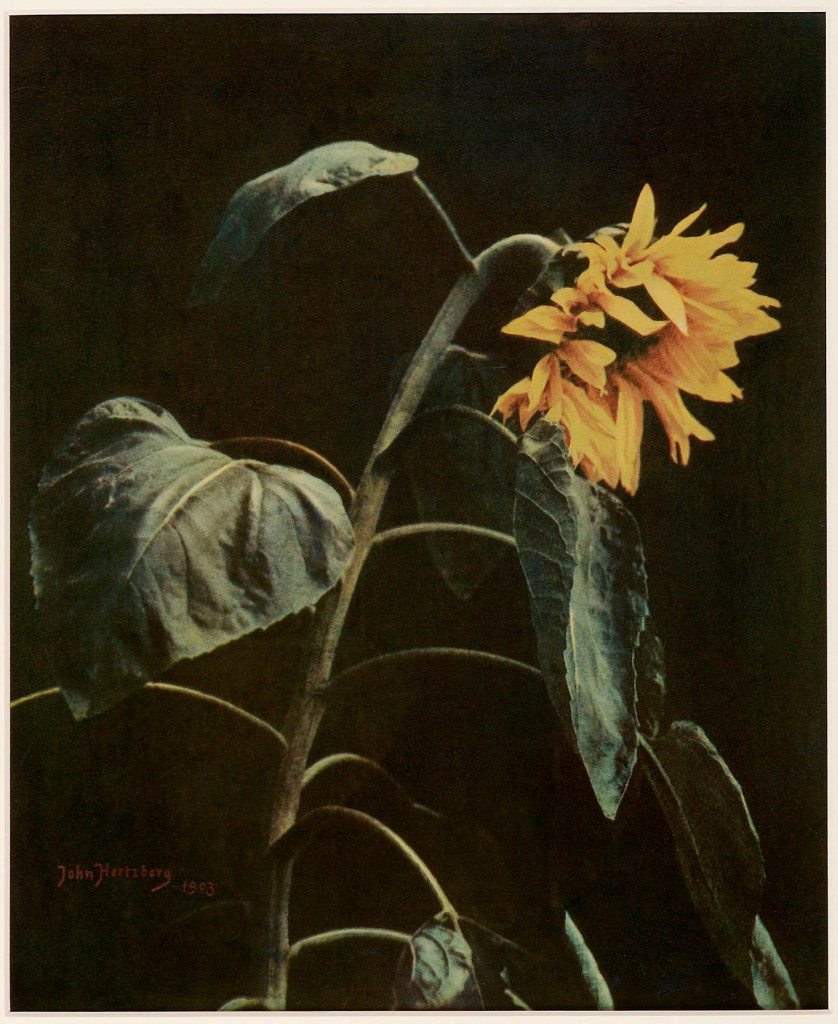 John Hertzberg (Swedish, 1871-1935) 'No title' 1903