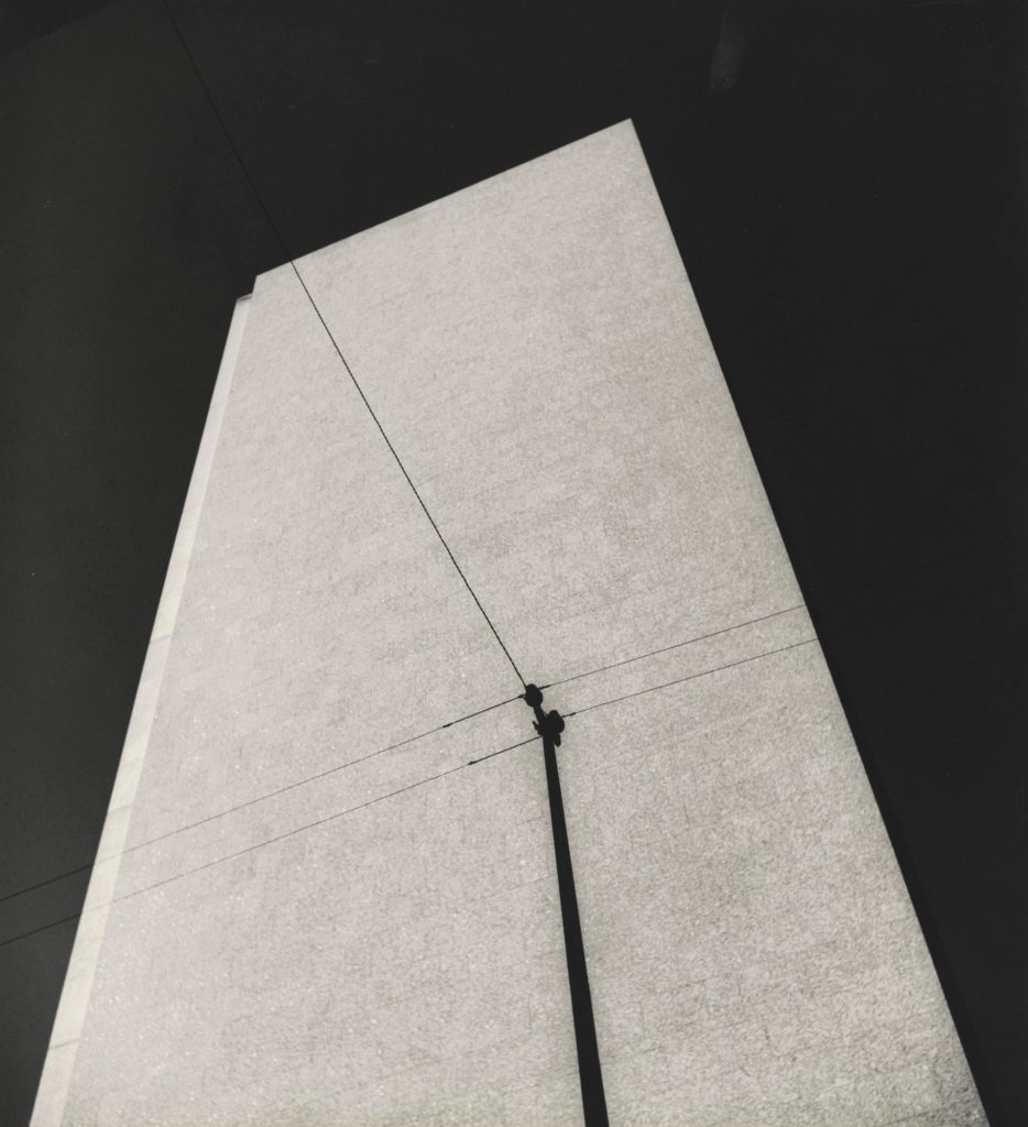 Thomaz Farkas (Brazilian, born Hungary. 1924-2011) 'Ministry of Education (Ministério da Educação) [Rio de Janeiro]' c. 1945