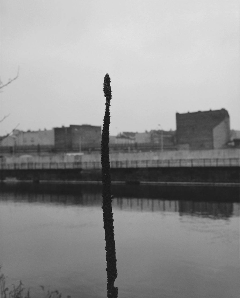 Michael Schmidt (German, 1945-2014) 'Untitled' from 'Waffenruhe' (Ceasefire) 1985-1987