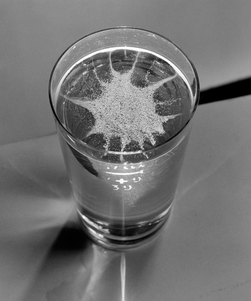 Ernst A. Heiniger (Swiss, 1909-1993) 'White wine star' 1939