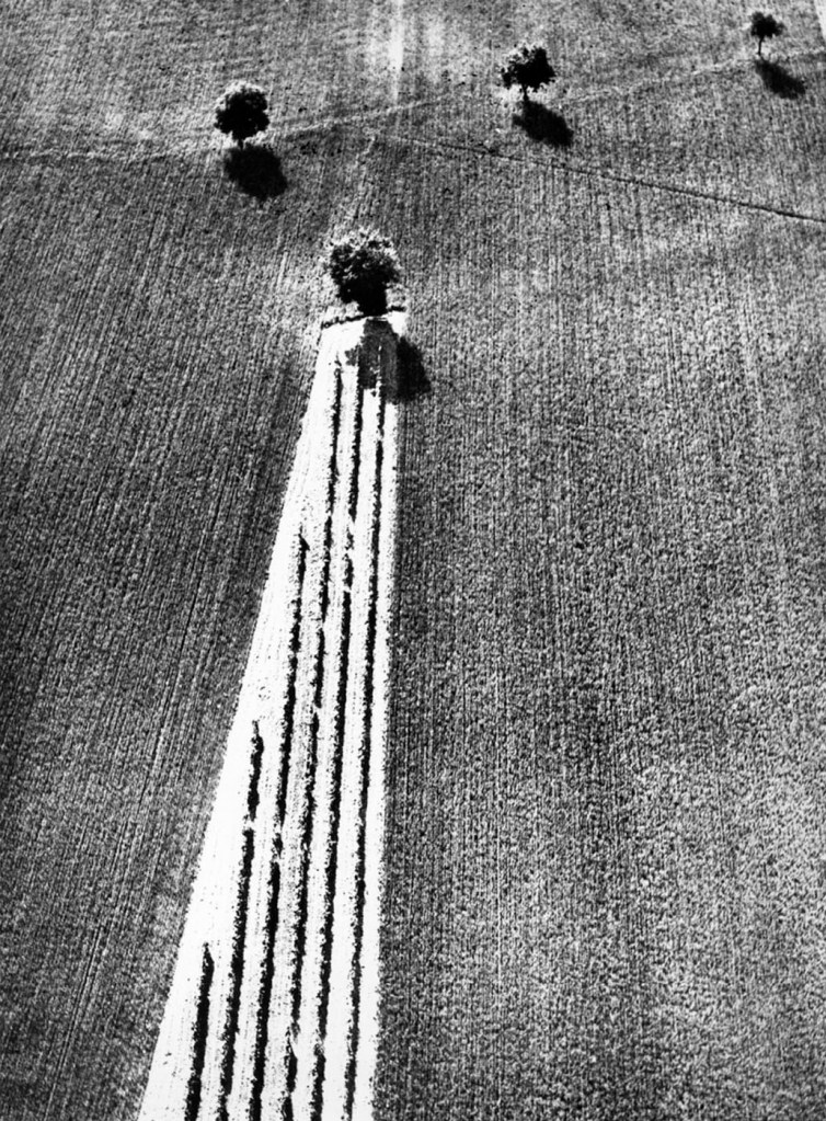Mario Giacomelli (Italian, 1925-2000) 'Awareness of Nature, No. 471' (Presa di coscienza sulla natura, No. 471) 1980, printed 1981