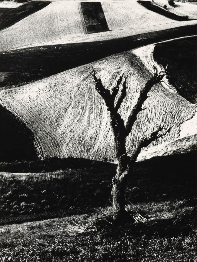 Mario Giacomelli (Italian, 1925-2000) 'Metamorphosis of the Land, No. 5' (Metamorfosi della terra, No. 5) 1971, printed 1981