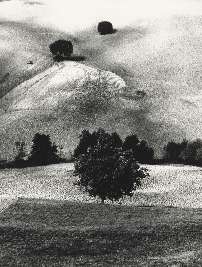 Mario Giacomelli (Italian, 1925-2000) 'Metamorphosis of the Land' (Metamorfosi della terra) 1958; printed 1981