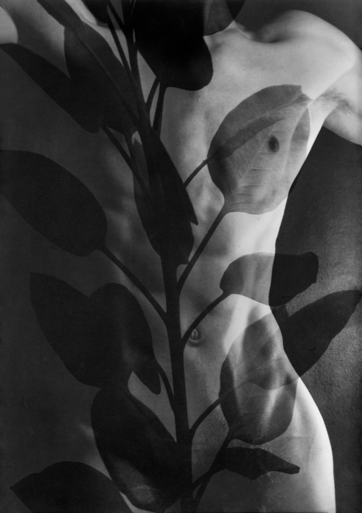 Edmund Teske (Chicago, Illinois, 1911 - Los Angeles, California, USA, 1996) 'Male Nude, Davenport Iowa' 1942