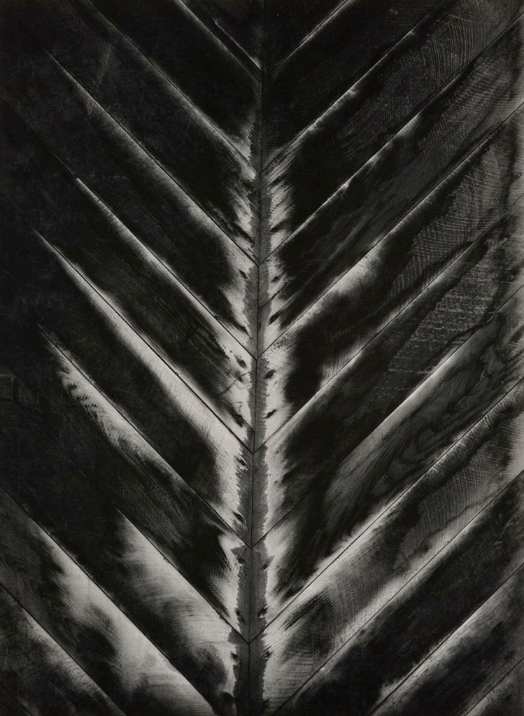 Sonya Noskowiak (American born Germany, 1900-1975) 'Ohne Titel' (Untitled) c. 1930