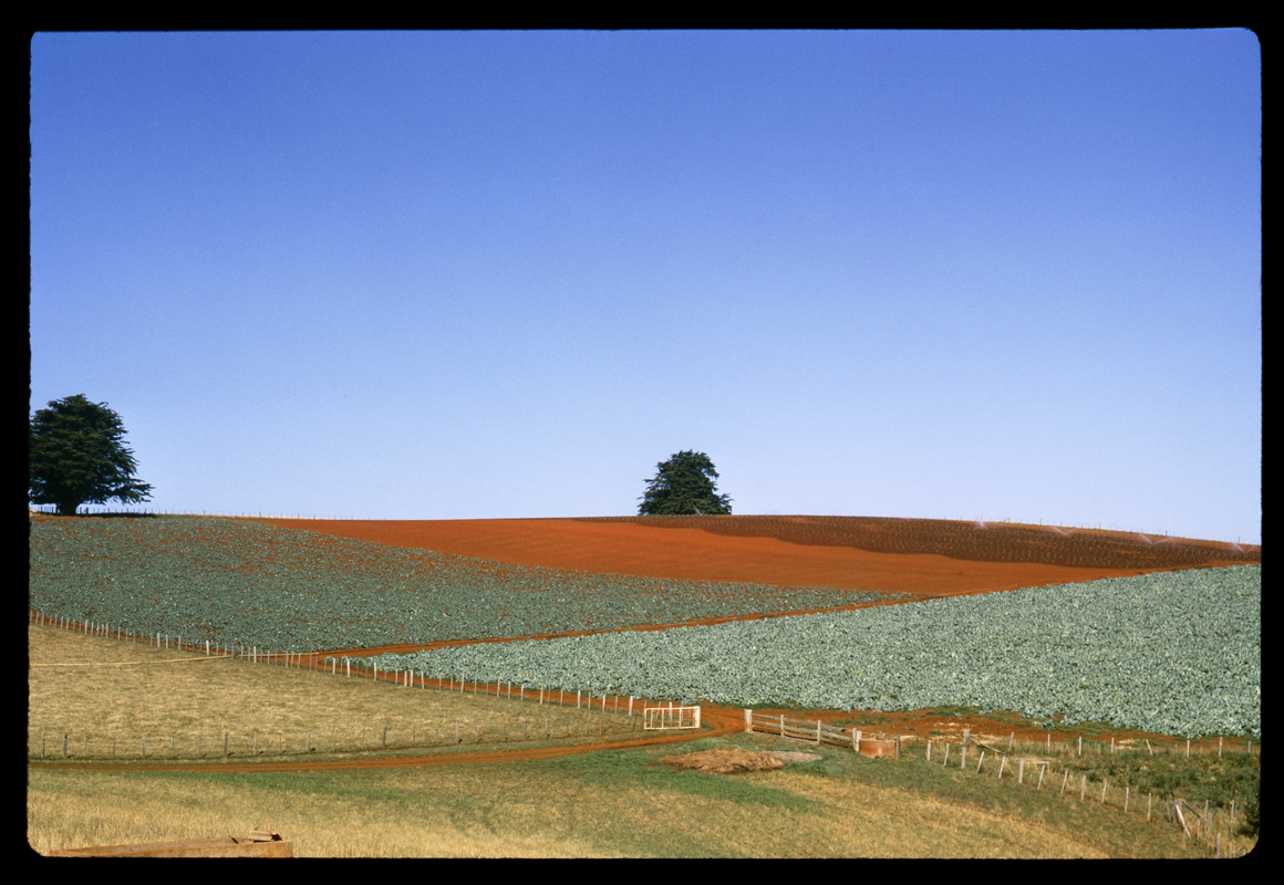 Marcus Bunyan (Australian, b. 1958) 'Untitled' from the series 'Discarded Views' 2008