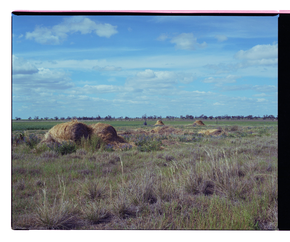 Marcus Bunyan (Australian, b. 1958) 'Untitled' from the series 'Last Days at Karngara' 2002