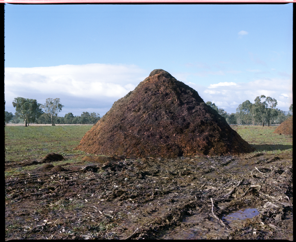 Marcus Bunyan (Australian, b. 1958) 'Untitled' from the series 'Last Stand' 2008