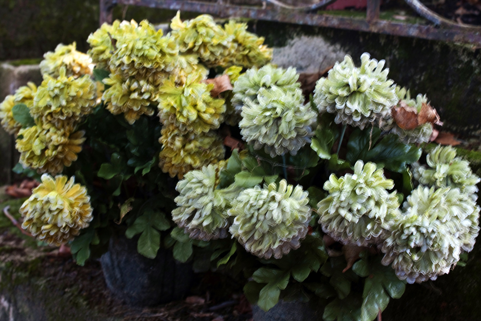 Marcus Bunyan (Australian, b. 1958) 'Untitled' from the series 'Stones, Vaults, Flowers: Père Lachaise' 2017-2020