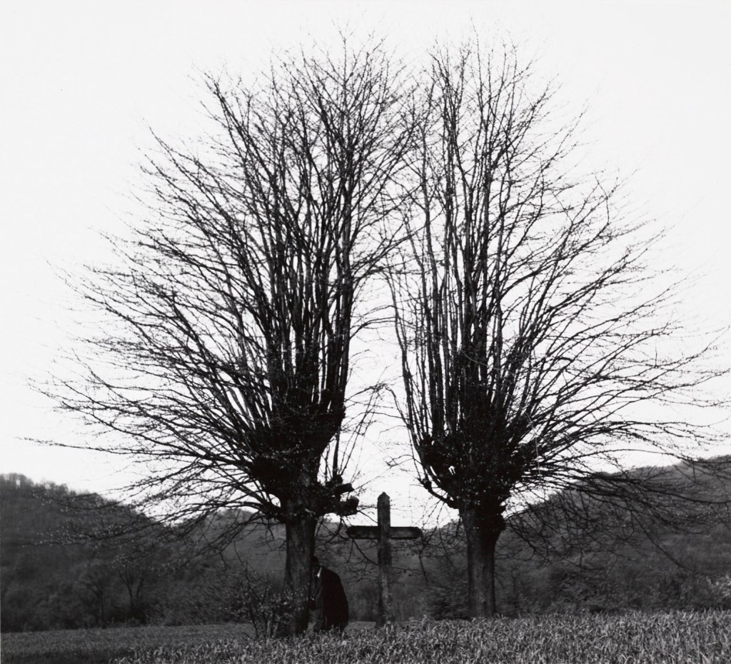 Imogen Cunningham (American, 1883-1976) 'Cemetery In France' 1960