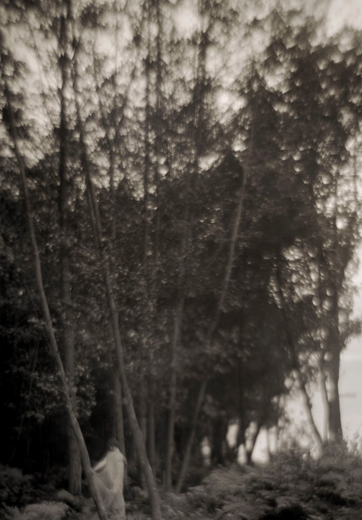Imogen Cunningham (American, 1883-1976) 'In the Wood (Voice of the Wood)' 1910