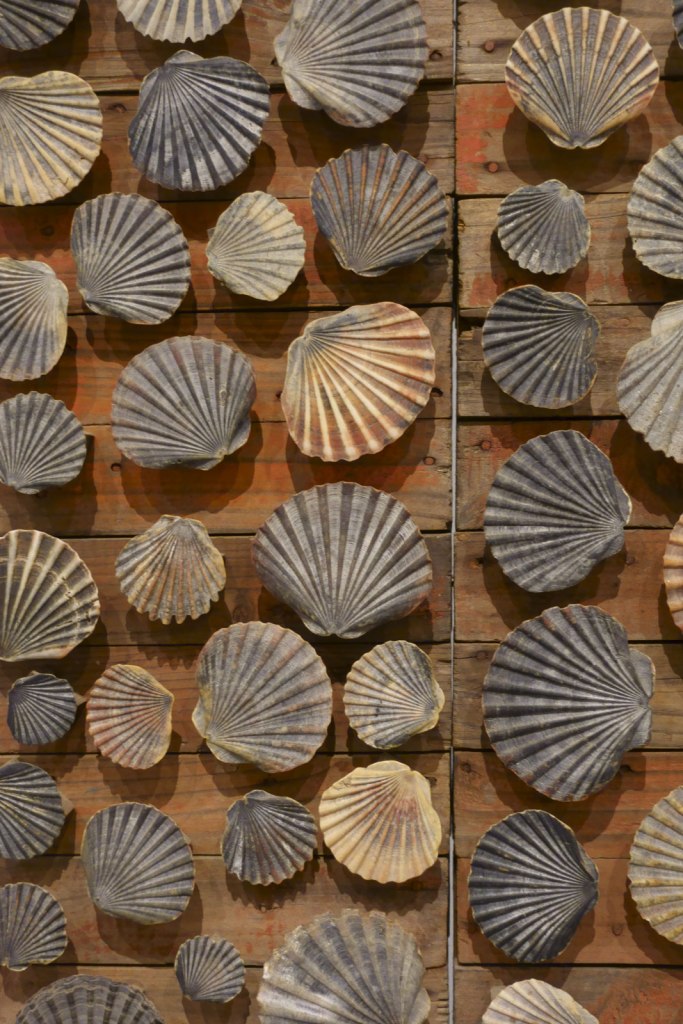 Rosalie Gascoigne (Australian born New Zealand, 1917-1999) 'Red beach' 1984 (installation view)