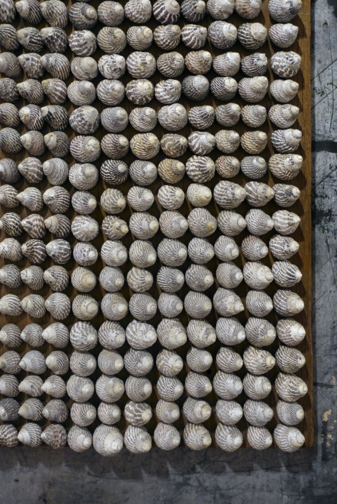 Rosalie Gascoigne (Australian born New Zealand, 1917-1999) 'Turn of the tide' 1983 (installation view detail)