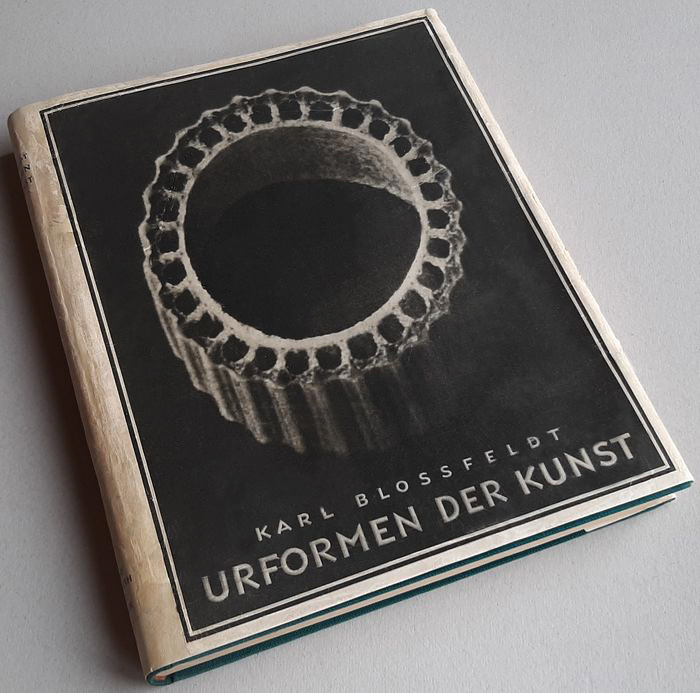 Karl Blossfeldt (German, 1865-1932) .Urformen der Kunst' (Art forms in nature). Berlin: Ernst Wasmuth, 1928