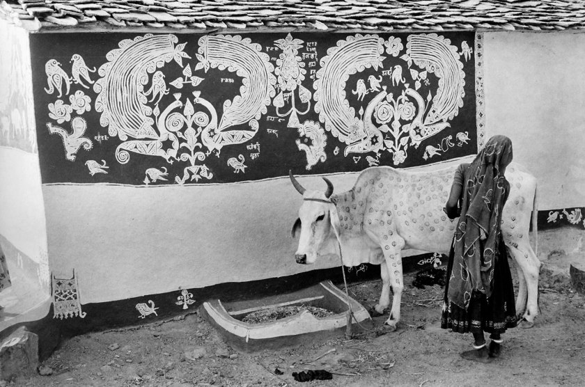 Jyoti Bhatt (Indian, b. 1934) 'A Rajasthani (Meena community) woman decorating a bullock for Gordhan Pooja festival' 1989