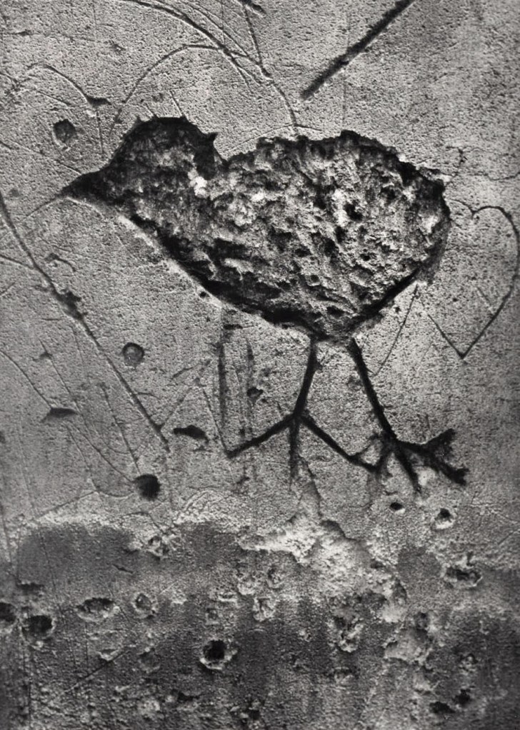 Brassaï (Hungarian-French, 1899-1984) 'Le Poussin' 1955 Brassaï (Hungarian-French, 1899-1984) 'Le Poussin' 1955