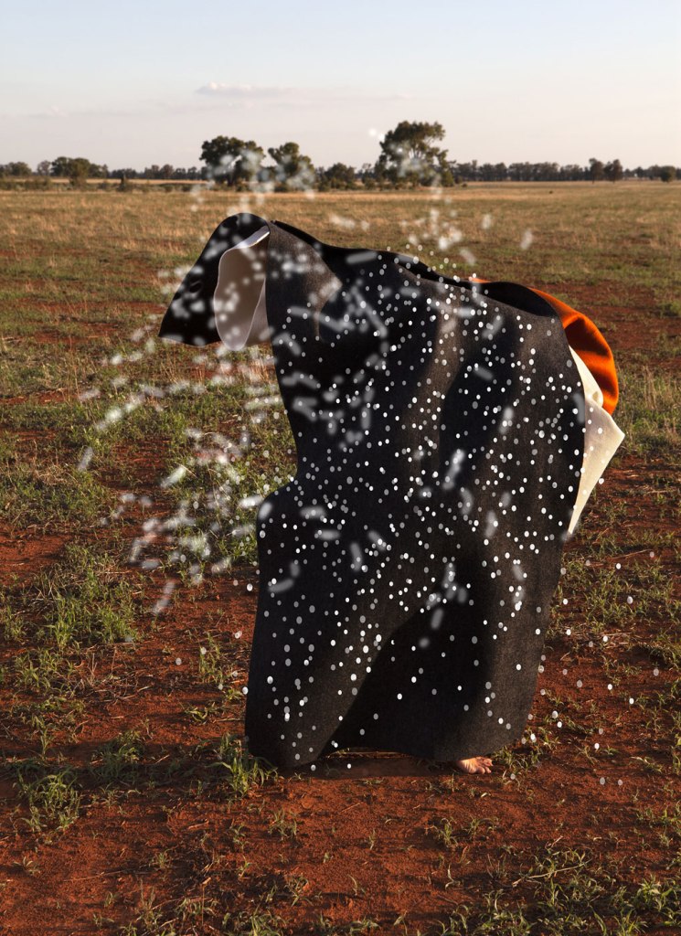 Anne Ferran (Australian, b. 1949) 'Field haunter 2' 2020-2021 from the exhibition 'Birdlike' by Anne Ferran at Sutton Gallery, Melbourne,  March - April, 2022