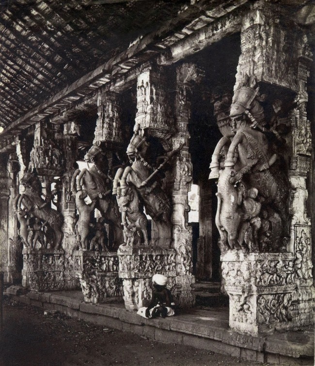 Francis Frith & Co. 'Carved horses in the Sheshagirirayar Mandapa at the Ranganatha Temple of Srirangam' c. 1880