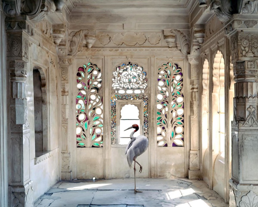 Karen Knorr (American born Germany, b. 1954) 'The Queen's room, Zanana, Udaipur City Palace, Udaipur' 2010