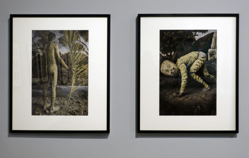 Installation view of the exhibition 'Visions of India: from the colonial to the contemporary' at the Monash Gallery of Art showing the work of Waswo X Waswo (American, b. 1953; arrived India 2001) with at left, 'Tribal dreams' (2008); and at right, 'Night prowl' (2008)