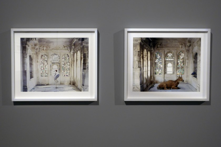Installation view of the exhibition 'Visions of India: from the colonial to the contemporary' at the Monash Gallery of Art showing at left, Karen Knorr's 'The Queen's room, Zanana, Udaipur City Palace, Udaipur' (2010); and at right, 'A Place Like Amravati 2, Udaipur City Palace, Udaipur' (2011)