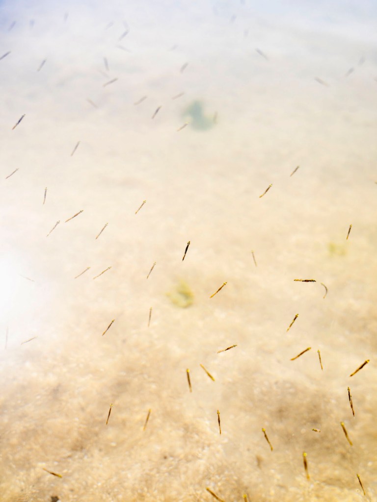 Andy Sewell (British, b. 1978) 'Untitled' 2020