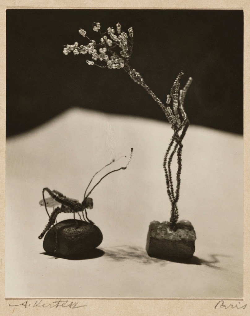 André Kertész (Hungarian, 1894-1985) 'Sculptures' 1927