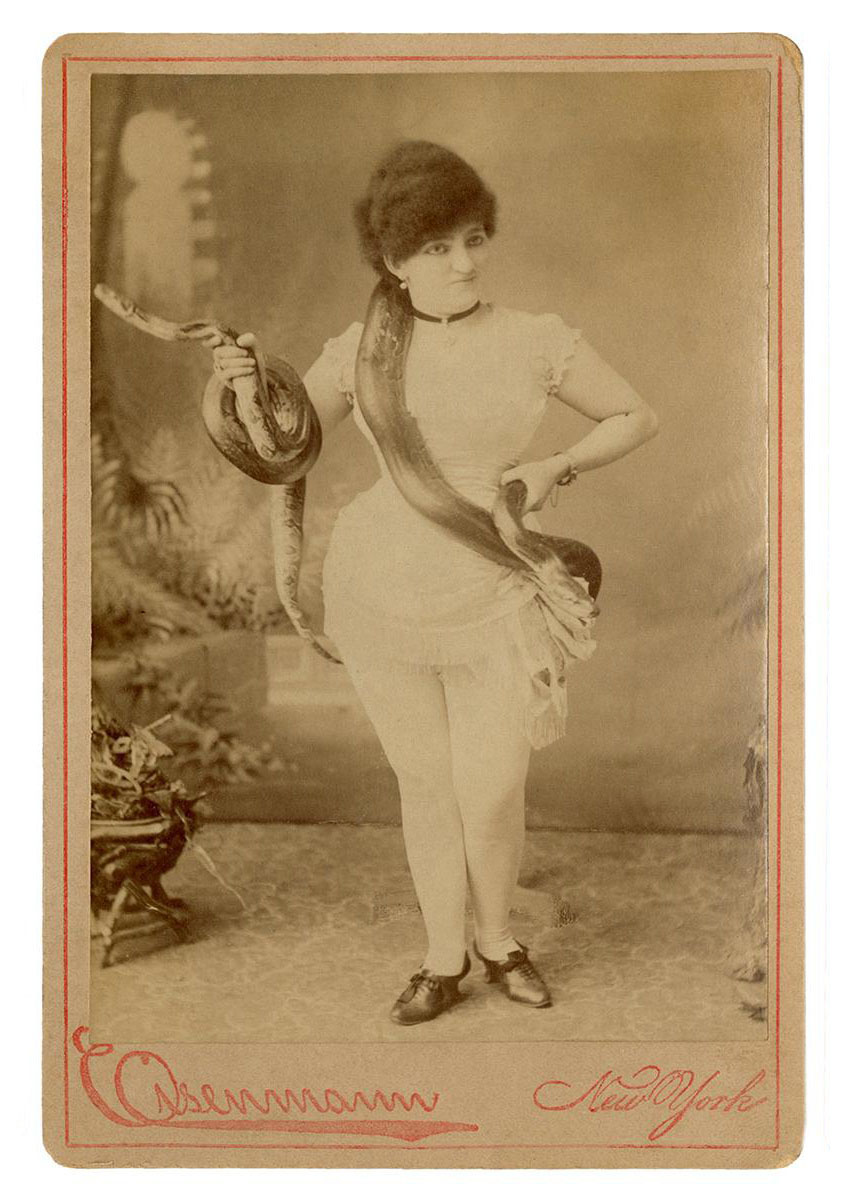 Cabinet cards – Art Blart _ art and cultural memory archive