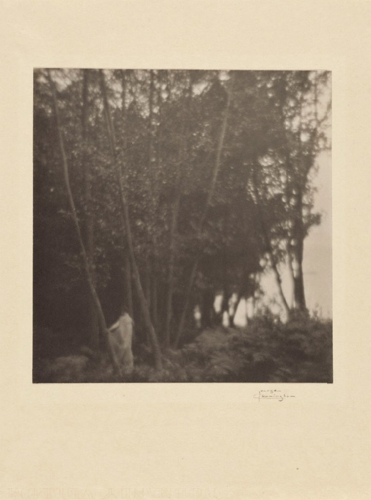 Imogen Cunningham (American, 1883-1976) 'In the Wood / Voice of the Wood' 1910