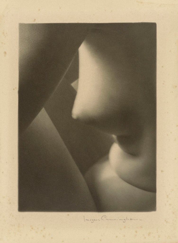 Imogen Cunningham (American, 1883-1976) 'Triangles' 1928